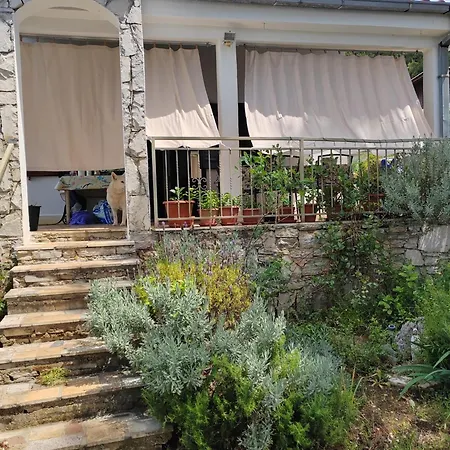 Seaside House Maslinica, Solta - 23755 Prázdninový dům Grohote