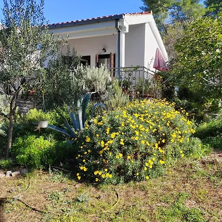 Prázdninový dům Seaside House Maslinica, Solta - 23755 Grohote
